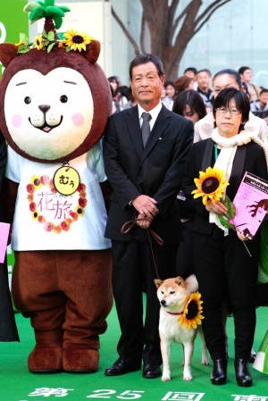 「ひまわりと子犬の7日間」、柴犬ひまわりもグリーンカーペットにご満悦！