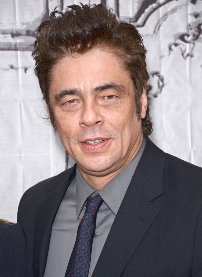 ベニチオ・デル・トロ、Benicio Del Toro