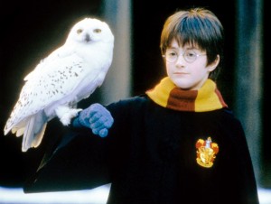 『ハリー・ポッター』がTVドラマシリーズ化? (※写真は『ハリー・ポッターと賢者の石』より)