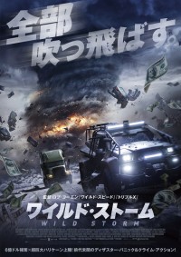 ワイルド・ストーム