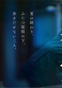 夜、鳥たちが啼く