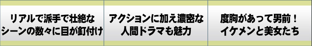 シカゴ･ファイア