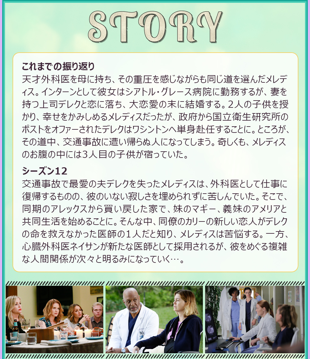 これまでの振り返り
天才外科医を母に持ち、その重圧を感じながらも同じ道を選んだメレディス。インターンとして彼女はシアトル・グレース病院に勤務するが、妻子ある上司デレクと恋に落ち、大恋愛の末に結婚する。2人の子供を授かり、幸せをかみしめるメレディスだったが、政府から国立衛生研究所のポストをオファーされたデレクはワシントンヘ単身赴任することに。ところが、その道中、交通事故に遭い帰らぬ人になってしまう。奇しくも、メレディスのお腹の中には3人目の子供が宿っていた。シーズン12は交通事故で最愛の夫デレクを失ったメレディスは、外科医として仕事に復帰するものの、彼のいない寂しさを埋められずに苦しんでいた。そこで、同期のアレックスから買い戻した家で、妹のマギー、義妹のアメリアと共同生活を始めることに。そんな中、同僚のカリーの新しい恋人がデレクの命を救えなかった医師の1人だと知り、メレディスは苦悩する。一方、心臓外科医ネイサンが新たな医師として採用されるが、彼をめぐる複雑な人間関係が次々と明るみになっていく…。