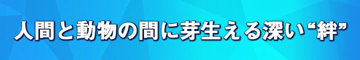 人間と動物の間に芽生える深い“絆”