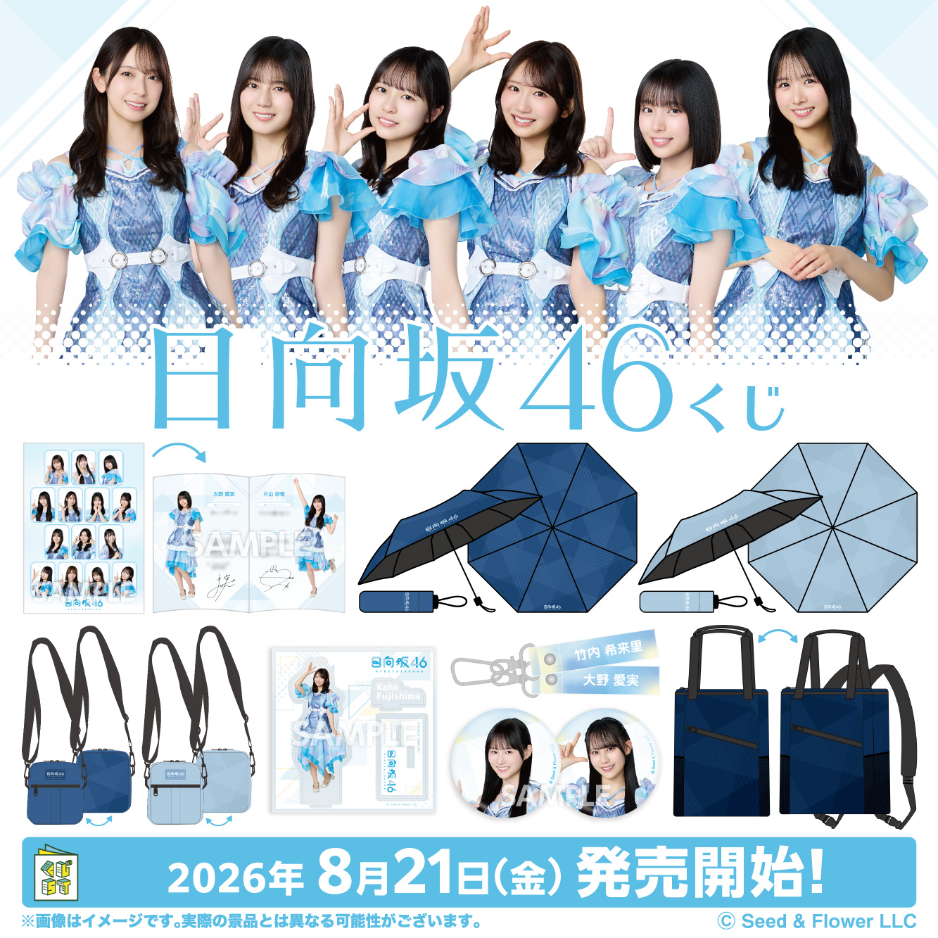 日向坂46くじのサンプル画像