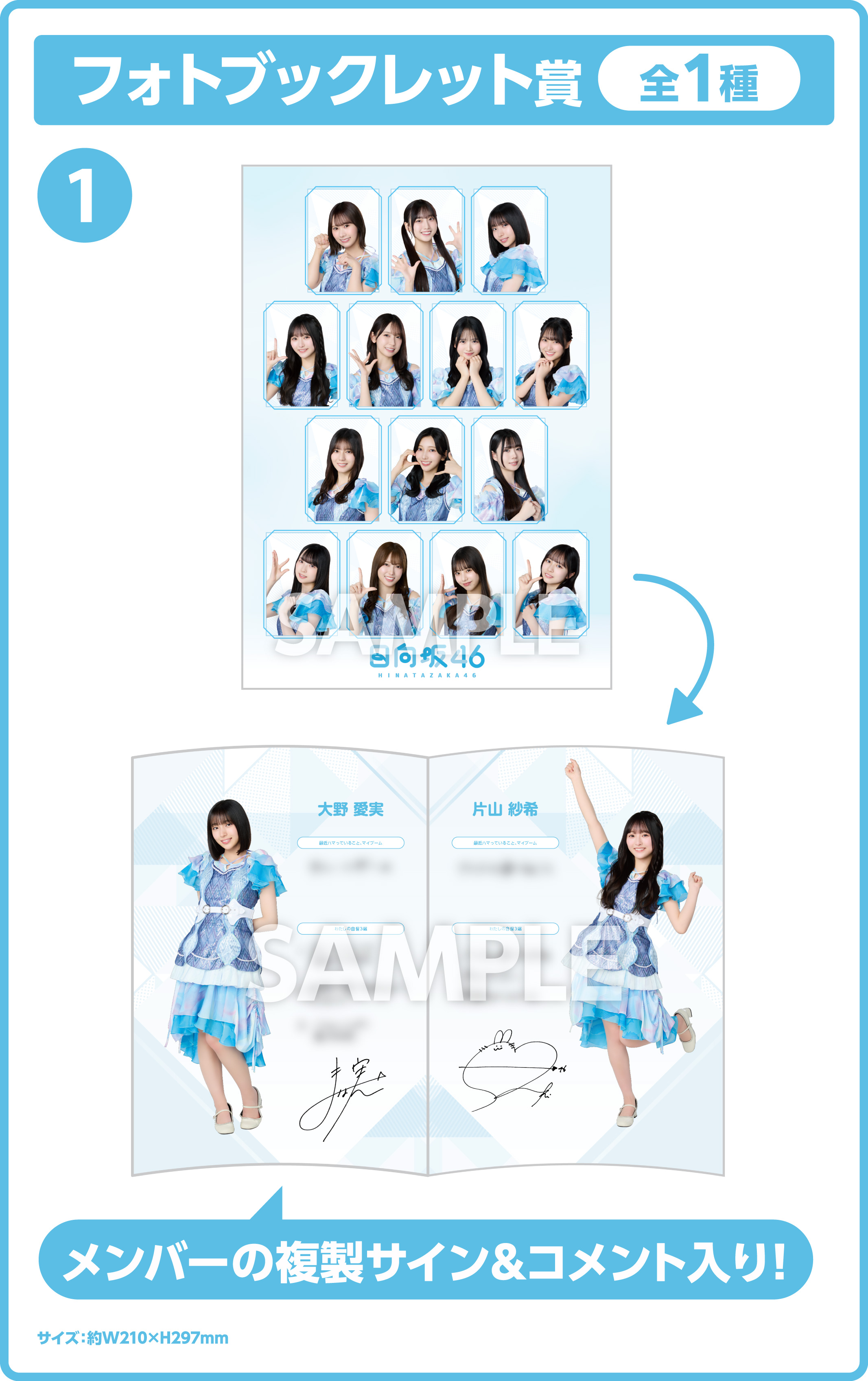 日向坂46エンタメくじ 詳細画像2