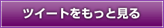 ツイートをもっと見る