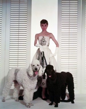 「麗しのサブリナ」