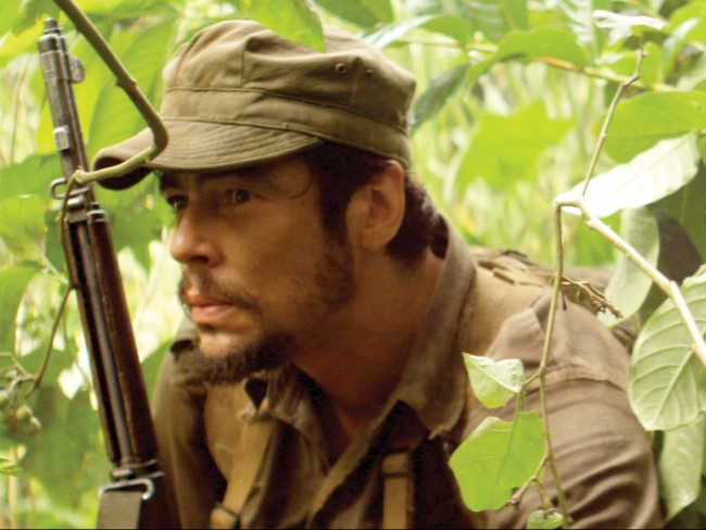 ベニチオ・デル・トロ　benicio