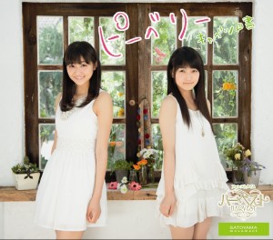  「SATOYAMA movement」CDリリース決定