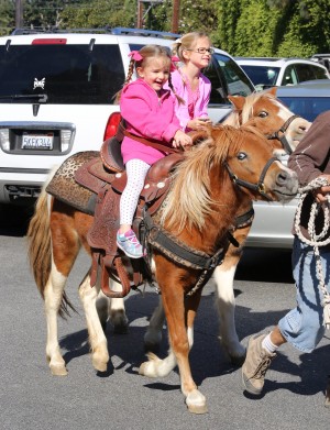 ヴァイオレット＆セレフィーナ・アフレック