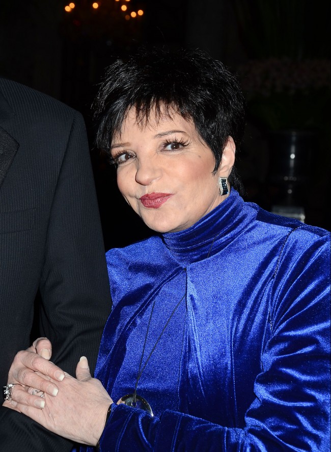 Liza Minnelli　ライザ・ミネリ