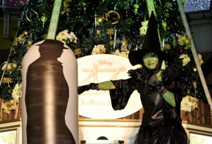 「オズ　はじまりの戦い」緑の魔女に扮したしずちゃん登場