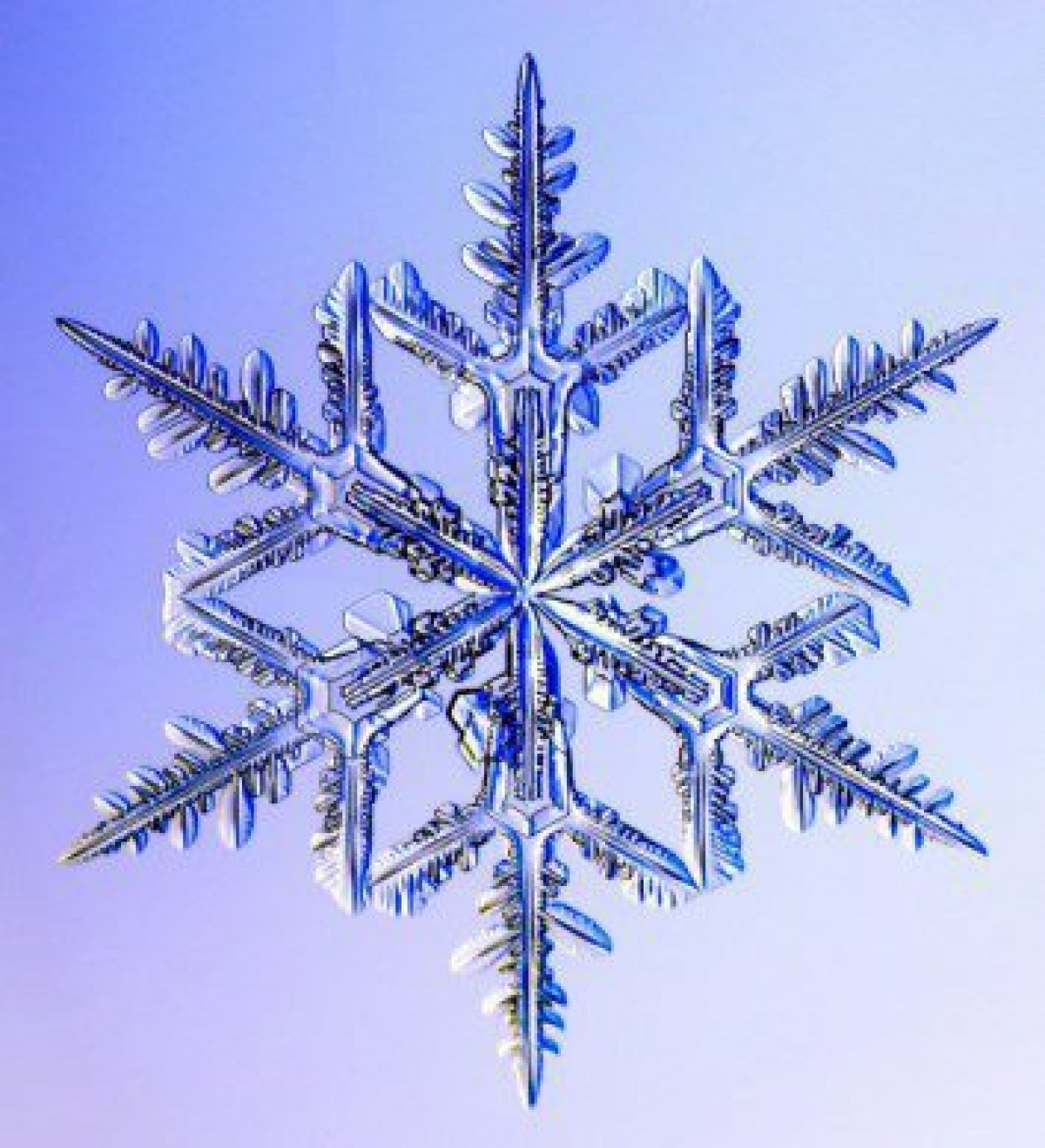 自然が作り出す神秘の世界 雪の結晶 の謎を徹底解明 12年12月23日 気になる ニュース クランクイン