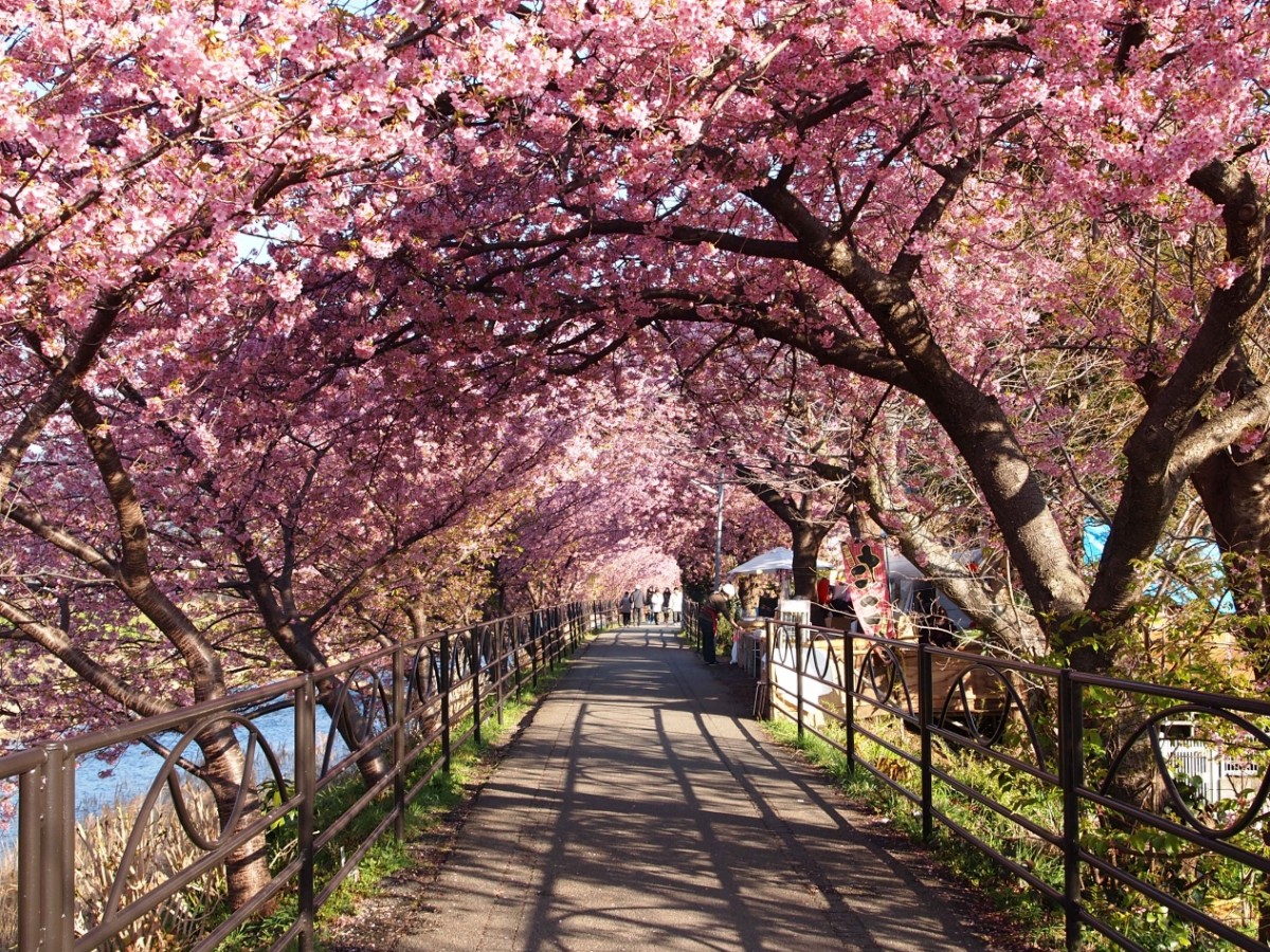リサーチ