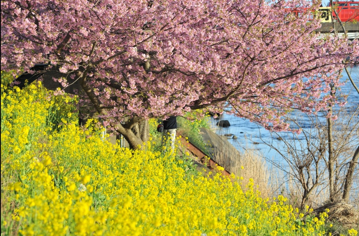 リサーチ