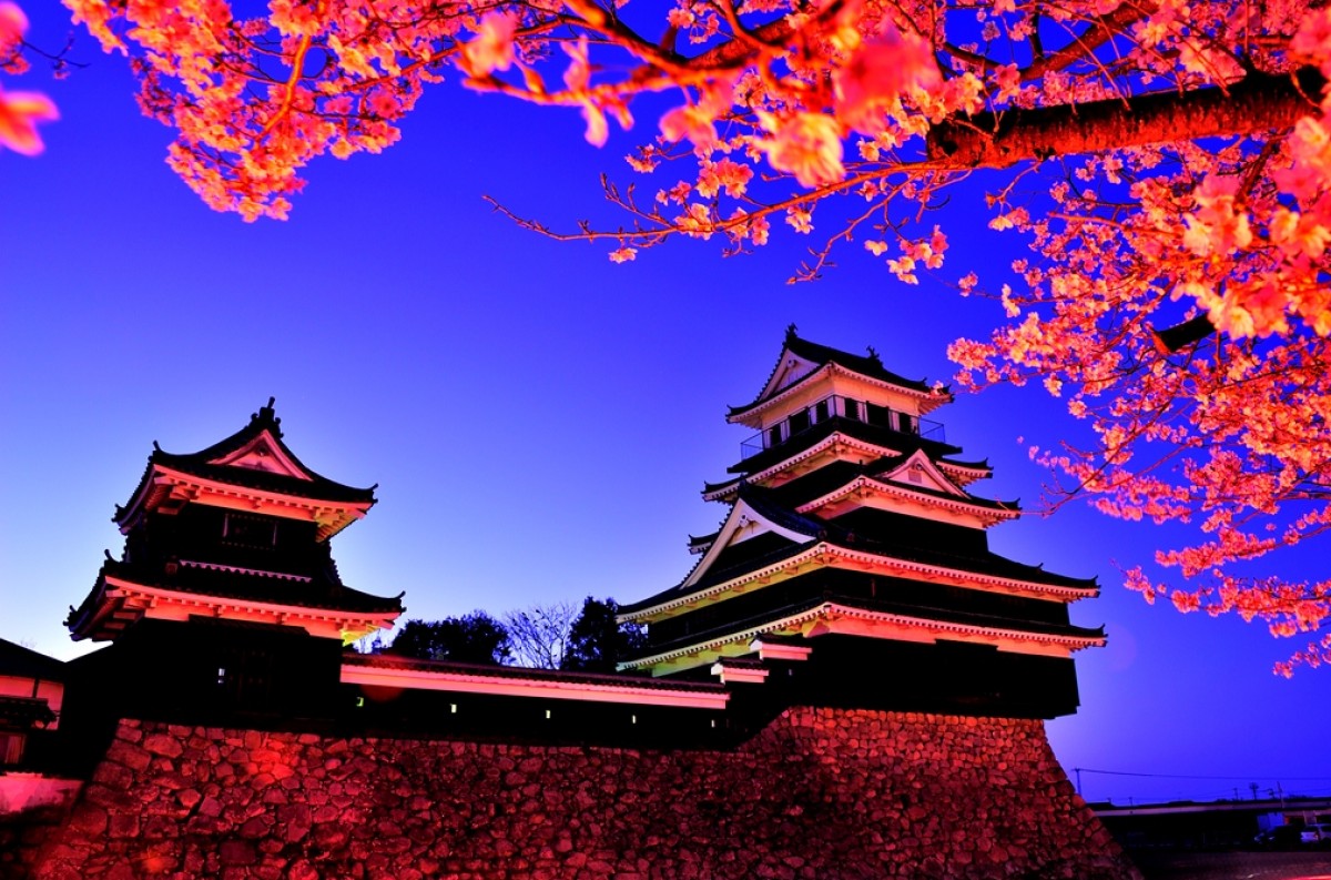 リサーチ