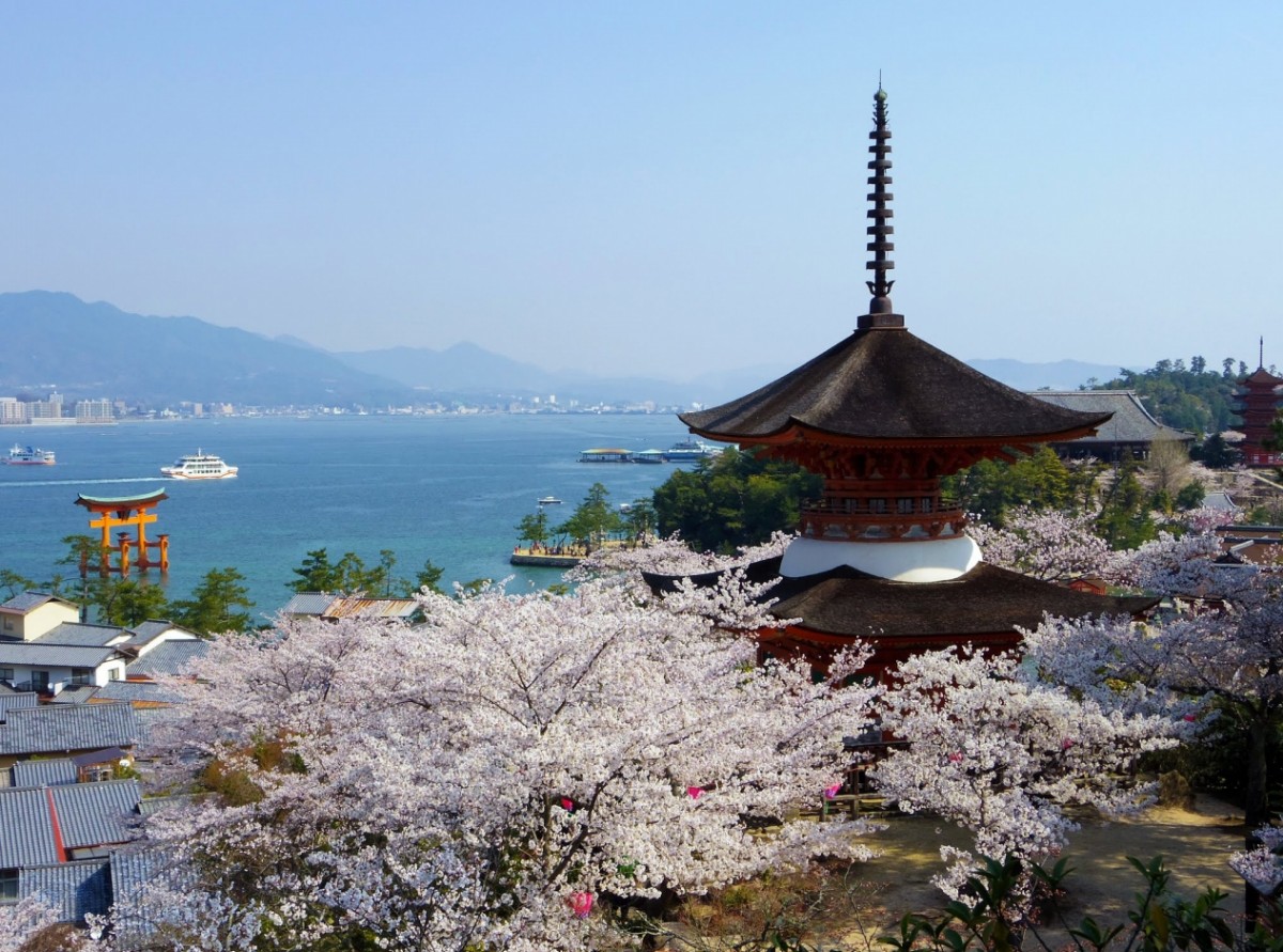 リサーチ