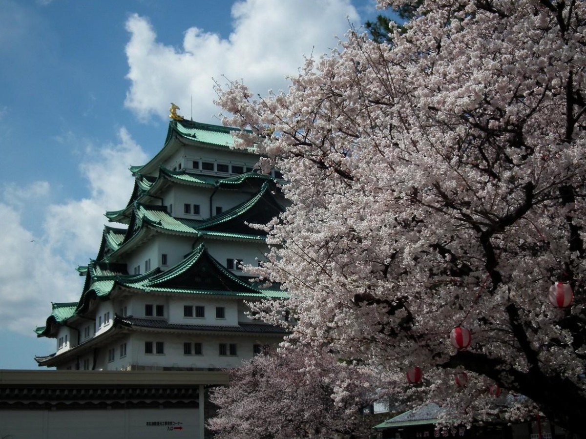 リサーチ