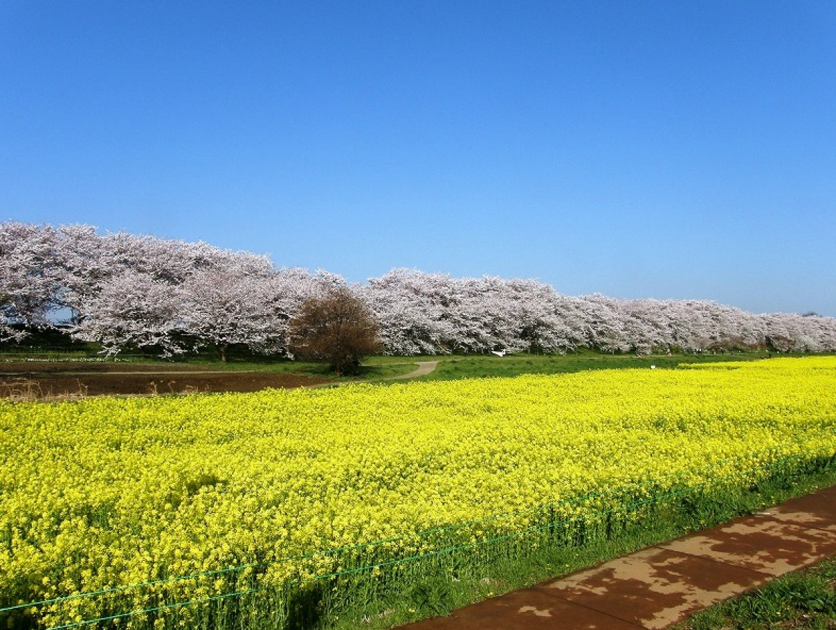 リサーチ