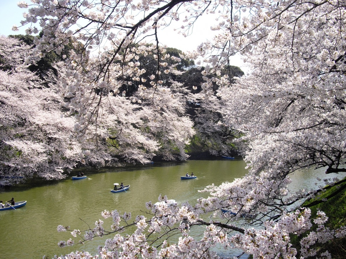 リサーチ