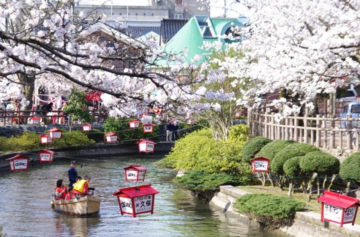 リサーチ