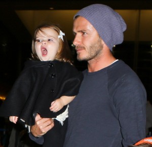 ハーパー・セヴン