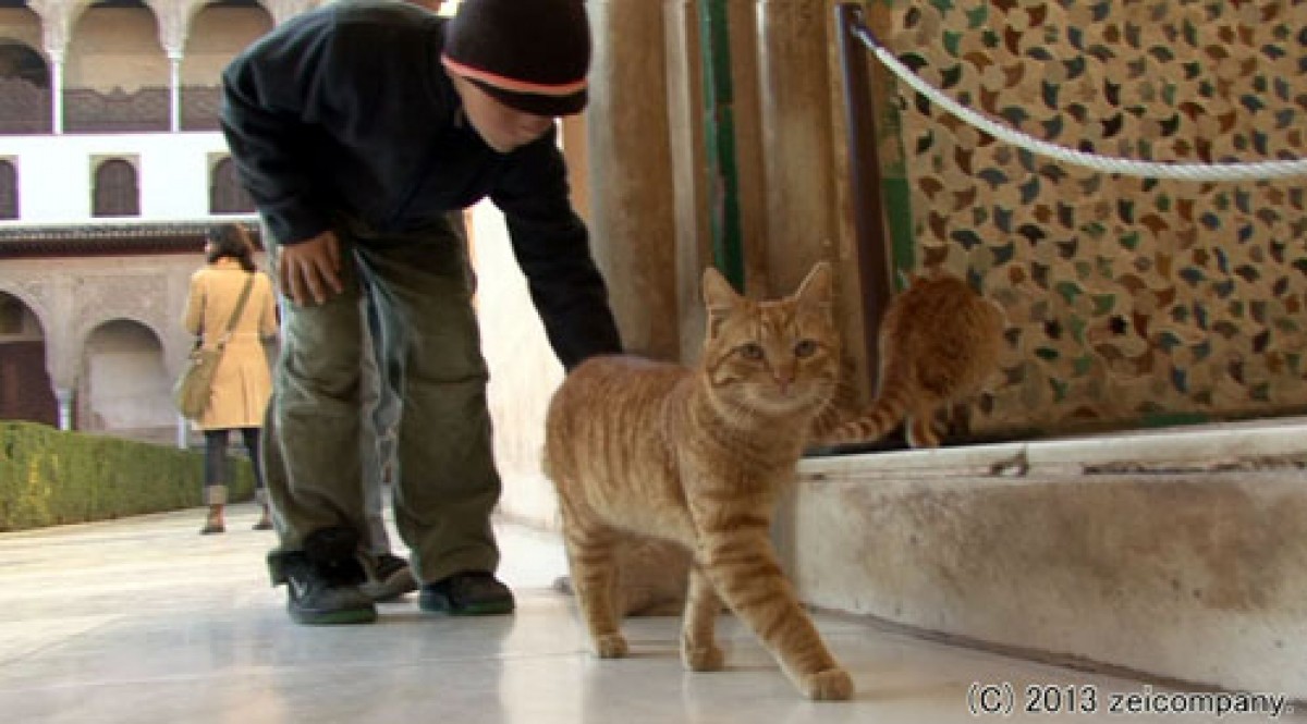 ねこ