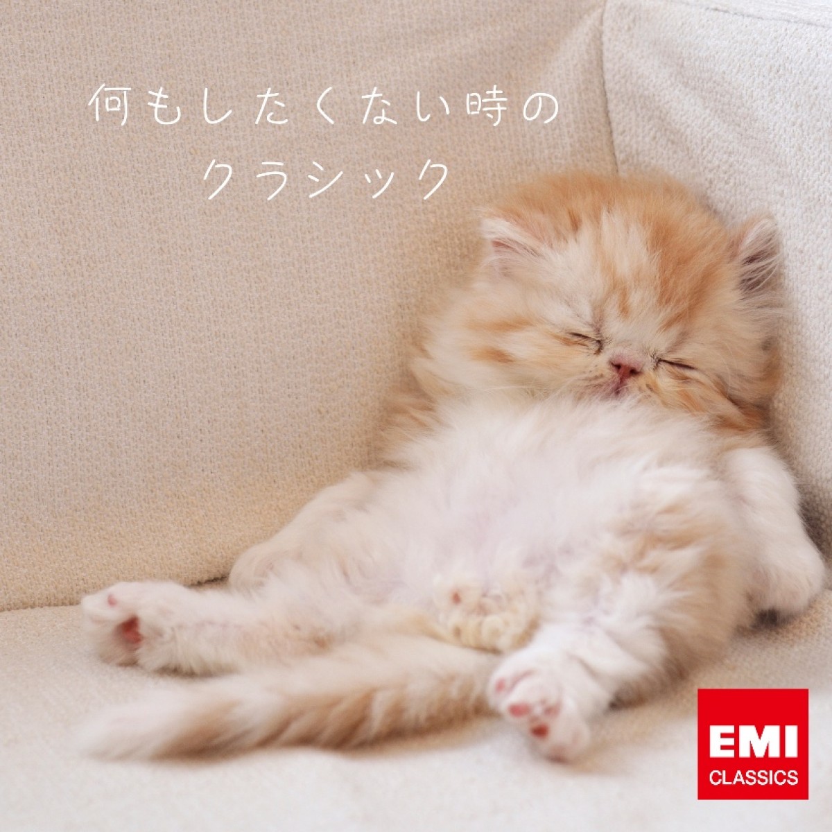 動物