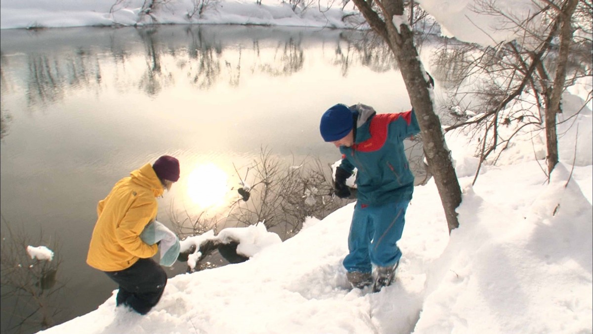 YOUは何しに日本へ？
