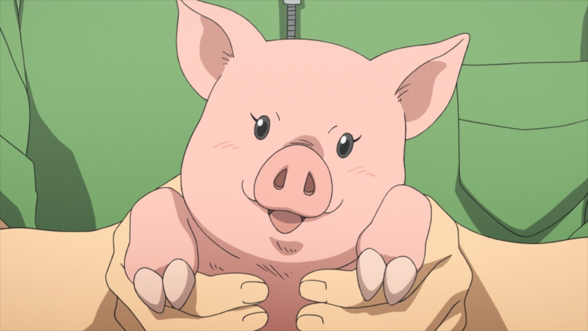 銀の匙 Silver Spoon（アニメ）