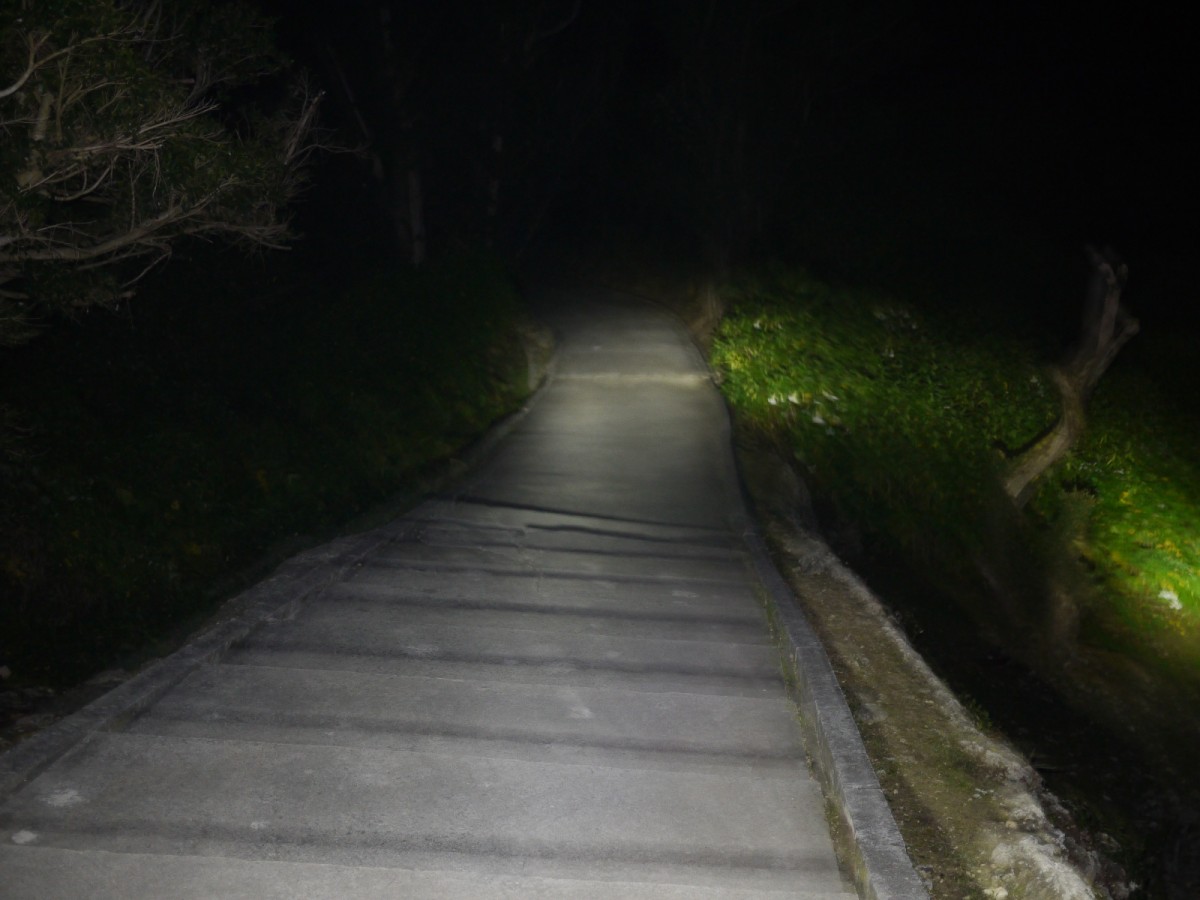 ホラー（日本）