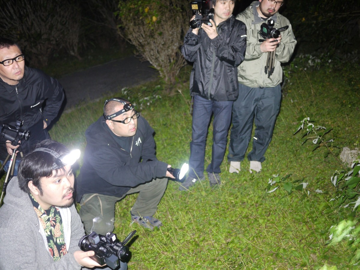 ホラー（日本）
