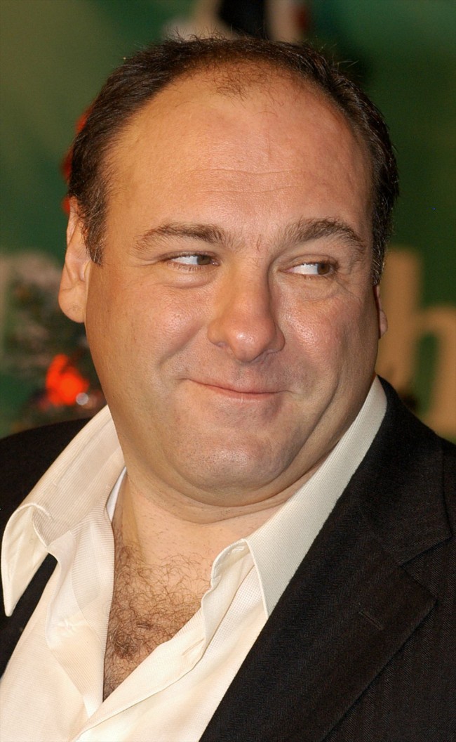 ジェームズ・ガンドルフィーニ、James Gandolfini