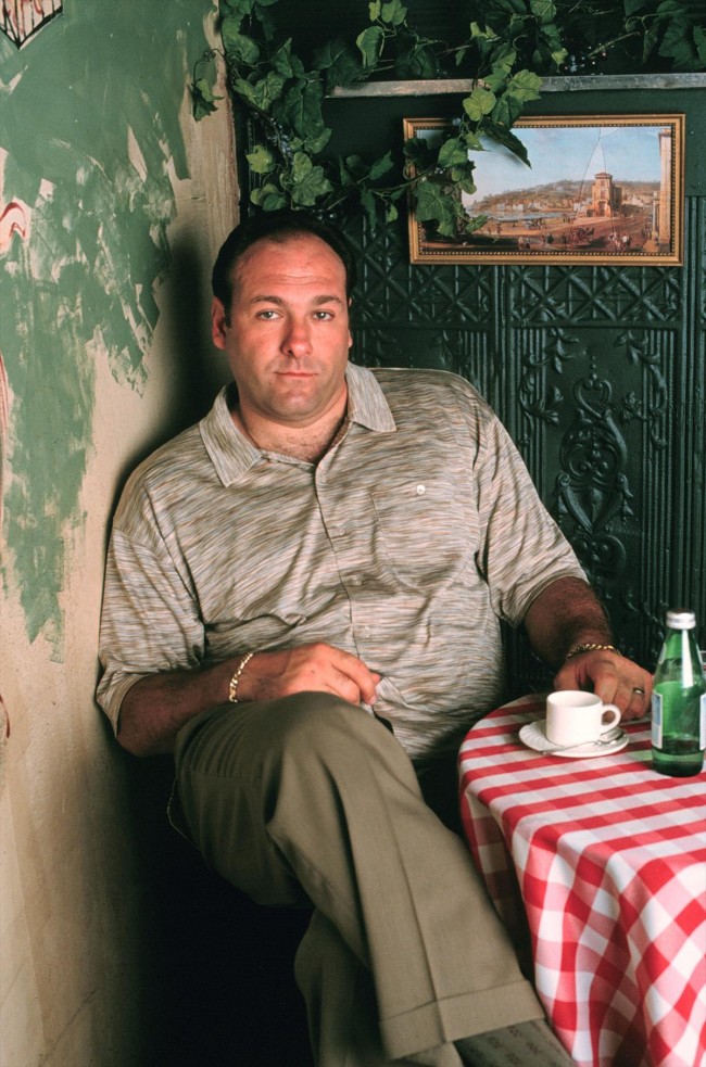 ジェームズ・ガンドルフィーニ、James Gandolfini