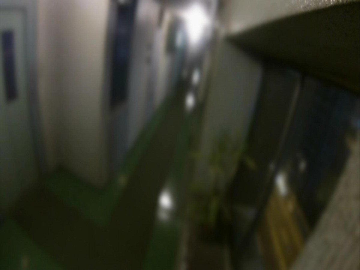 ホラー（日本）