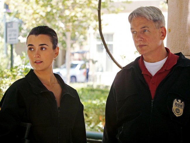 コート デ パブロ Ncis シーズン11のレギュラー降板決定 13年7月11日 1ページ目 海外ドラマ ニュース クランクイン