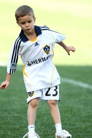 ロメオ君（2008年）