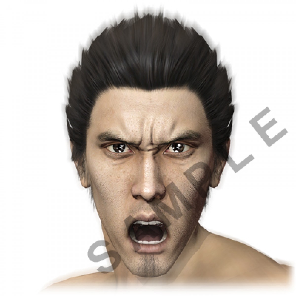 龍が如く 
