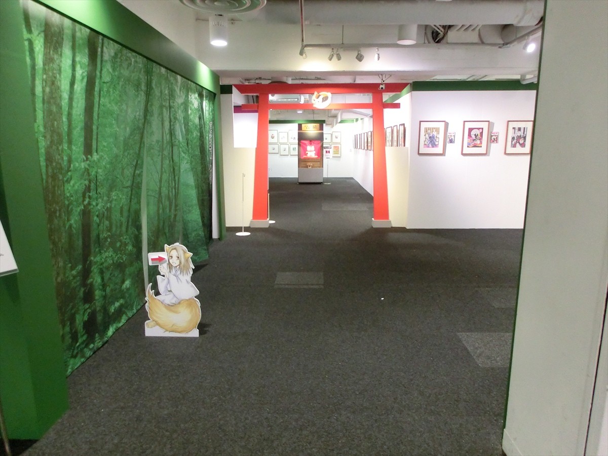 白泉社