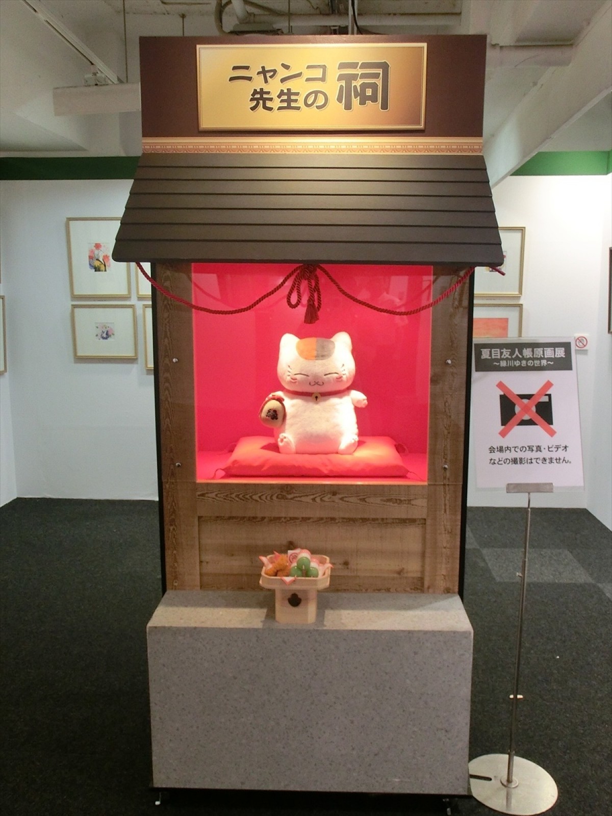 白泉社