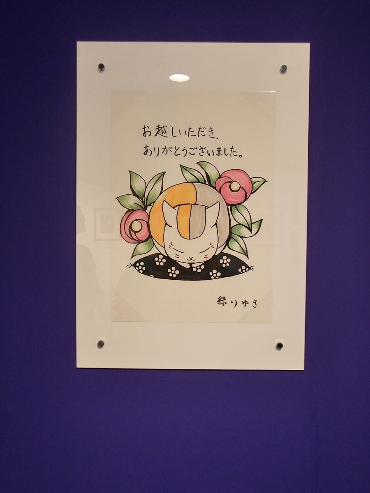 白泉社