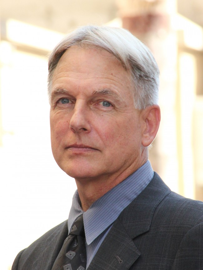 マーク・ハーモン Mark Harmon