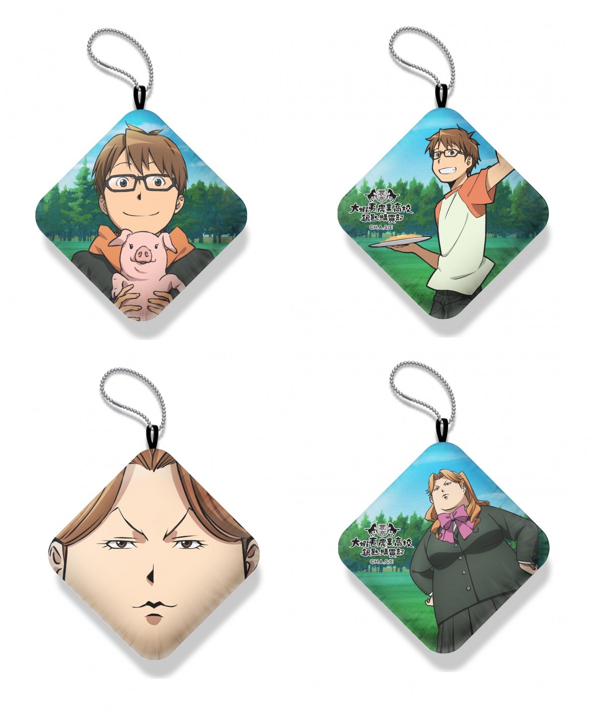 銀の匙 Silver Spoon（アニメ）