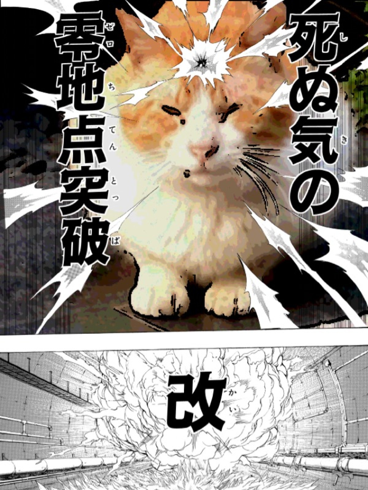 集英社