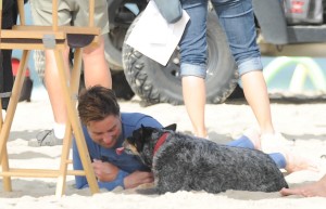 ルーク・ウィルソン