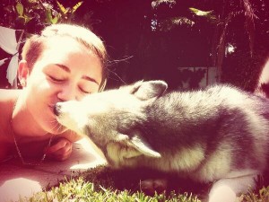 マイリー・サイラス