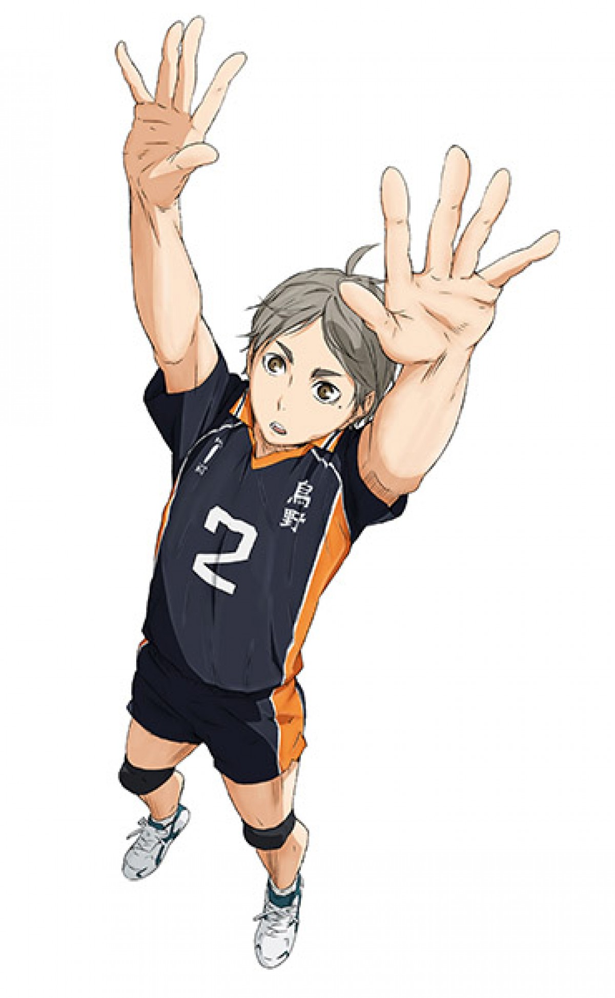 ハイキュー!!