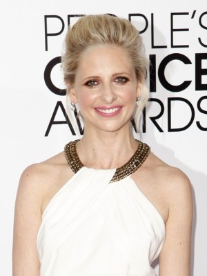 海外ドラマ『The Crazy Ones（原題）』サラ・ミシェル・ゲラー