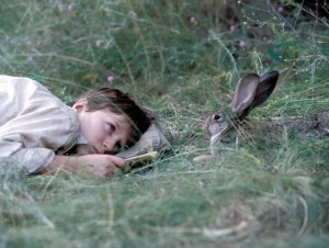 英・ウサギが8000年前の石器ほかお宝を発掘